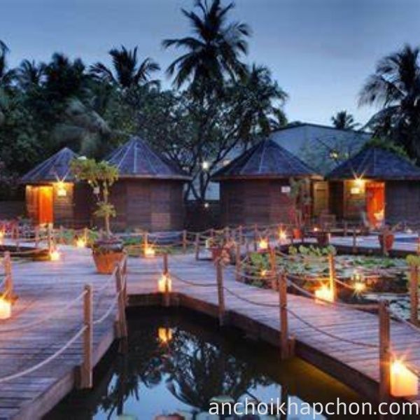 The Island Lodge Thoi Son Tien Giang ackc